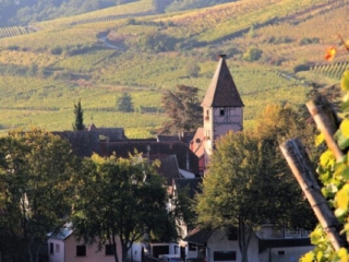 02_elsass