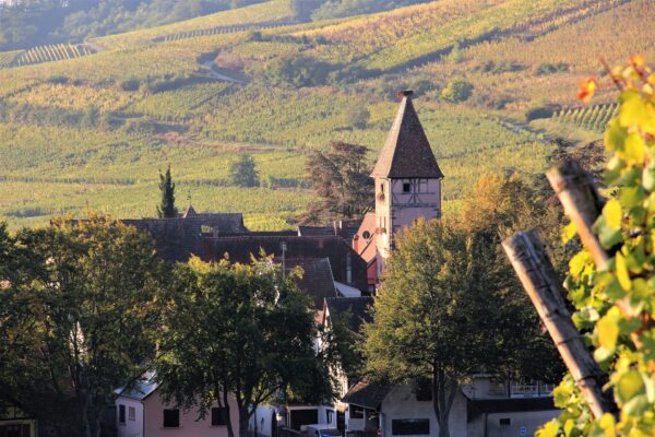 02_elsass