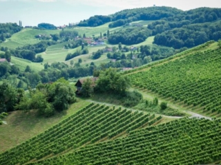 Steiermark2