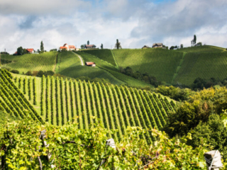 Steiermark5